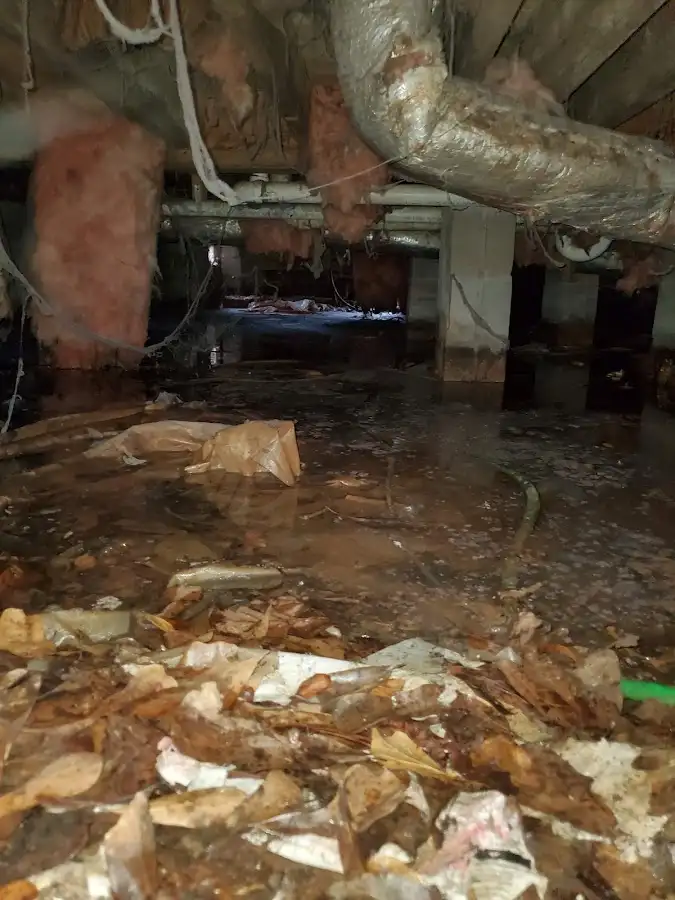 Crawl space flood assessment for Leak Detection & Repair in Neosho