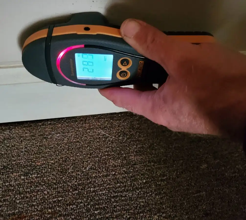 Moisture detection at baseboard during Sewage Cleanup & Sanitation in Neosho